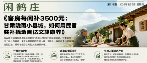 客房每间补3500元:甘肃陇南小县城,如何用民宿奖补撬动百亿文旅康养